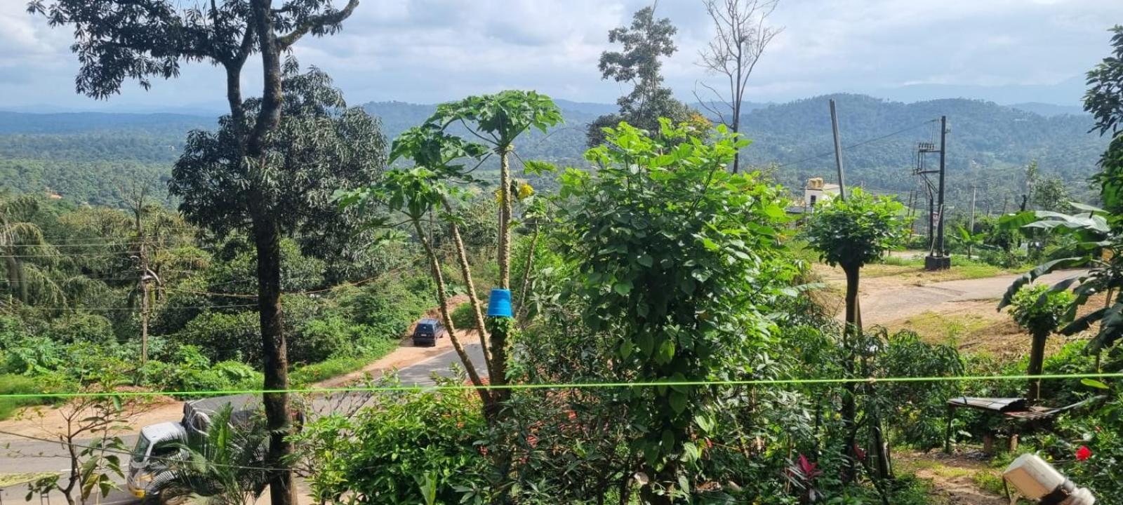 Danny'S Den Villa Madikeri Buitenkant foto